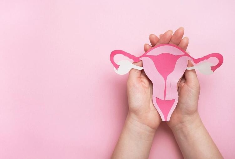 Woman hands holding decorative model uterus on pink background.